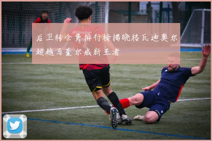 后卫转会费排行榜揭晓格瓦迪奥尔超越马奎尔成新王者